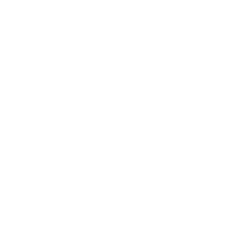 Cityvenn Logo